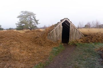 Plaggenhut in De Peel