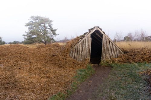 Plaggenhut in De Peel von Geert Van Baelen