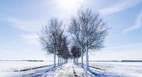 Sunny day with snow