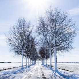 Journée ensoleillée avec de la neige sur Anita Lammersma