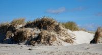Zandduin met gras aan de Noordzeekust
