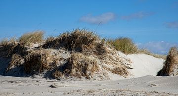 Dune de sable avec de l'herbe sur la côte de la mer du Nord sur Andreas Freund