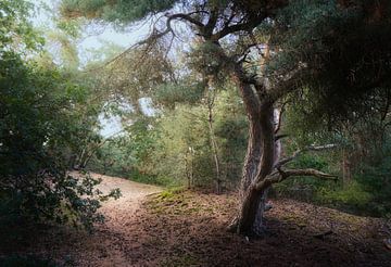 Rolling Forest (Glooiend Bos) van Kees van Dongen