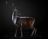 Fallow deer portrait, Santiago Pascual Buye by 1x thumbnail
