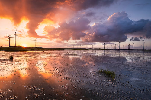 Sonnenaufgang bei Ebbe an der Oosterschelde