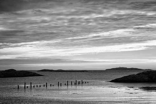 Sea view during sunset