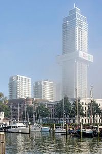 Das geheimnisvolle Zalmhaven