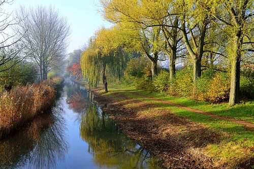 Herfst in de vroege ochtend