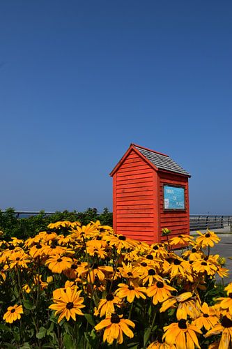 Een boekhandel aan de oevers van de rivier