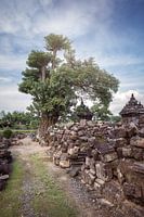 The impressive temples in Java, Indonesia and their history