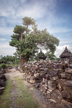 Java, Indonesiens beeindruckende Tempel und ihre Geschichte von Made by Voorn