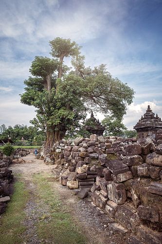 Les temples impressionnants de Java, en Indonésie, et leur histoire