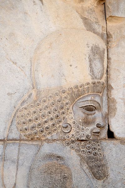 Persepolis / Parsa van Maarten Verhees