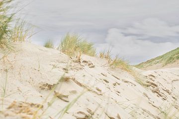 Der Strand, Zandvoort von WeVaFotografie