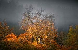 Hochschwarzwald im Morgenlicht von Guido de Kleijn