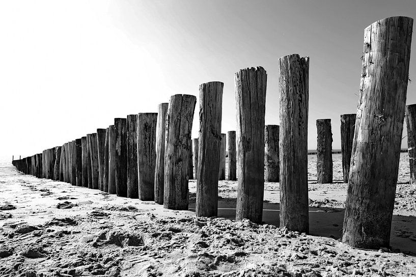 golfbreker in zeeland zw wit par eddy Peelman