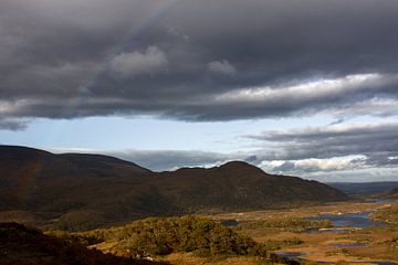 Uitzicht over vallei in Ierland van Hannon Queiroz