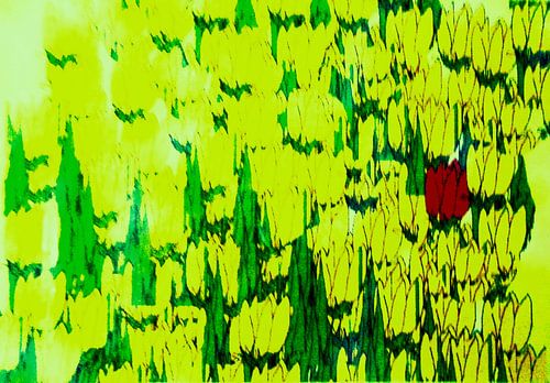 Ein Tulpenfeld für Marie 2