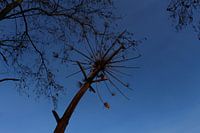 Blue sky