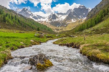 Ruisseau de montagne dans l'alpage de Stabele, dans la vallée de l'Ötztal, au Tyrol.