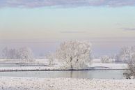 Winters rivierlandschap aan de IJssel met een kleurrijke lucht van Sjoerd van der Wal Fotografie thumbnail