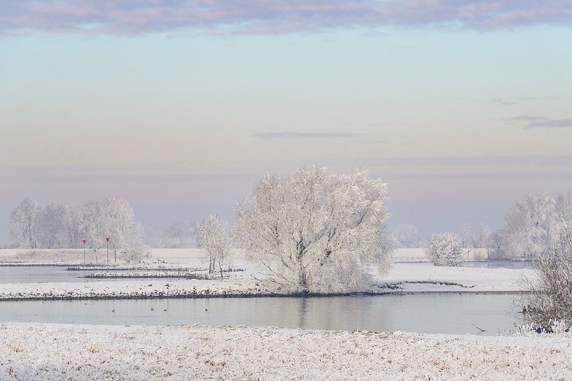 Winters rivierlandschap aan de IJssel met een kleurrijke lucht van Sjoerd van der Wal Fotografie
