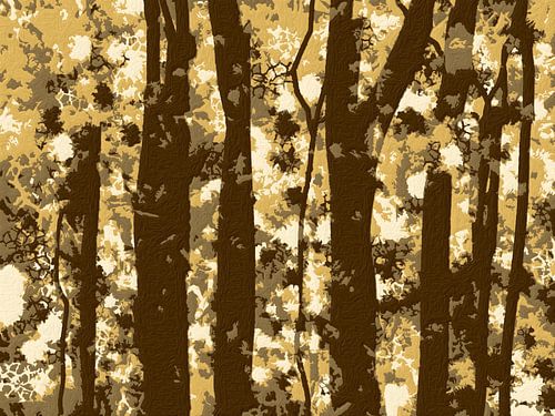 Playful autumn light.