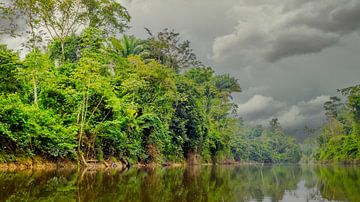 Kabalebo Nature Resort ist ein Ferienort in Suriname von René Holtslag