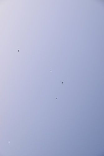 ciel bleu