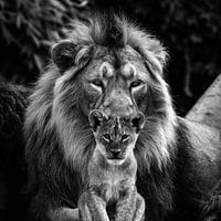 Vater und Sohn
