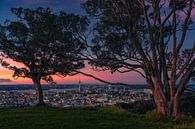 Auckland Skyline (North Island, New Zealand) by Niko Kersting thumbnail