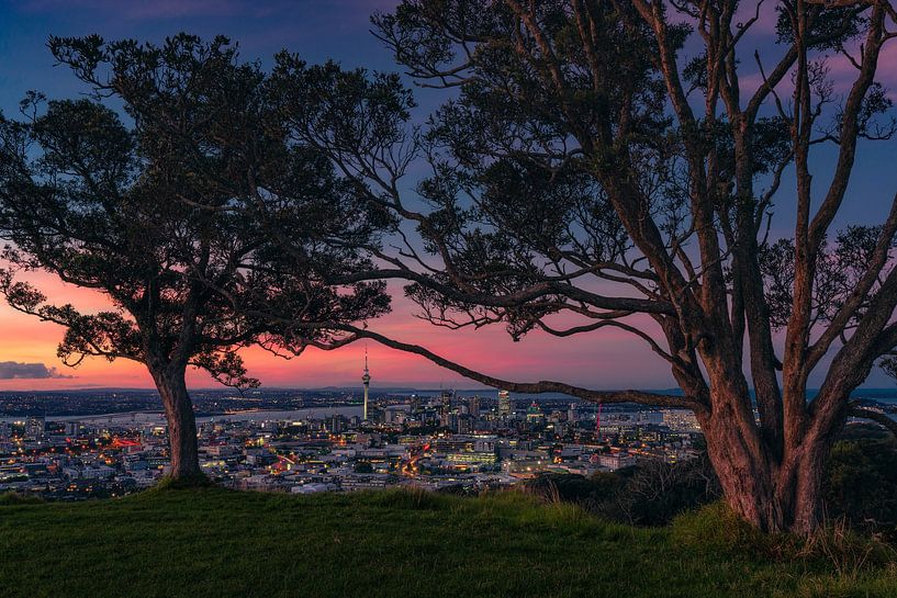 Auckland Skyline (North Island, New Zealand) by Niko Kersting