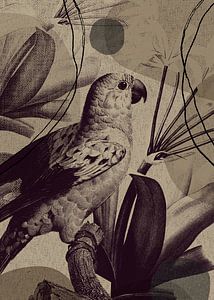 TW living - Linen collection - tropcial bird