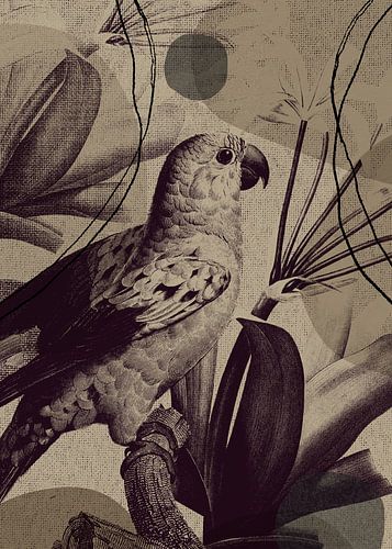 TW living - Linen collection - tropcial bird