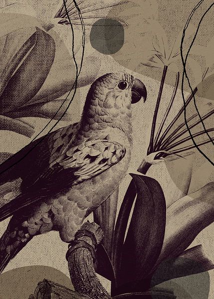 TW living - Linen collection - tropcial bird von TW living