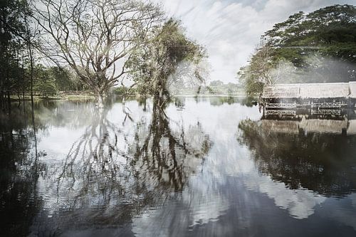 Bomen en wolken worden weerspiegeld in het water