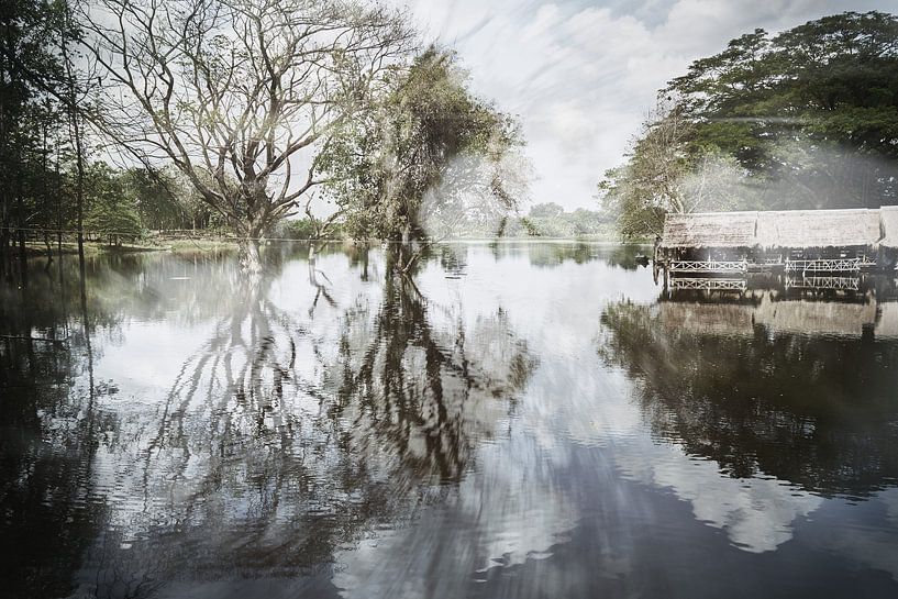 Bäume und Wolken spiegeln sich im Wasser von Götz Gringmuth-Dallmer Photography