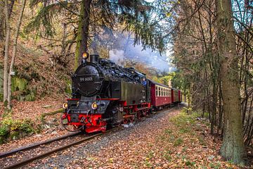 Harzer Schmalspurbahn 99-6001 van Marcel Timmer