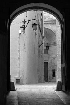 Treed binnen | zwarte en wit | mooie poort op Malta van Marcel Mooij