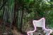 Portal im Bambuswald von Mickéle Godderis