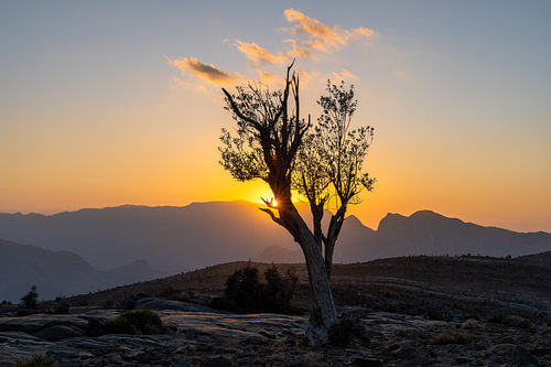 Van zonsondergang tot zonsondergang