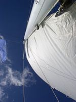 Blauw lucht