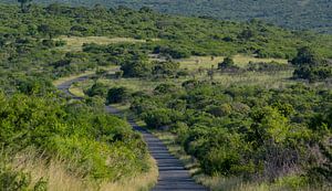 Buschlandschaft Naturreservat Hluhluwe Nationalpark Südafrika von SHDrohnenfly