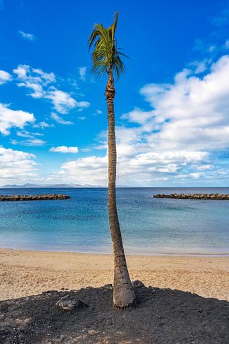 Playa Flamingo, prachtig strand aan Playa Blanca