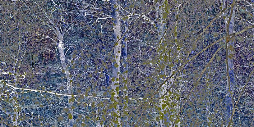 Wald von tausend und einer Nacht von Hanneke Luit