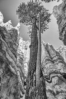 Bryce Canyon National Park