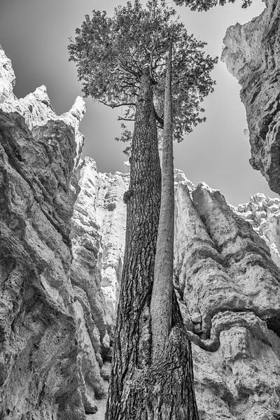 Bryce Canyon National Park van Loek van de Loo
