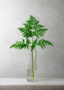 Botanisches Grün in einer Vase