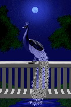 Peacock at Moonlight by Felicia Lyin