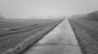 tarmac road on river embankment